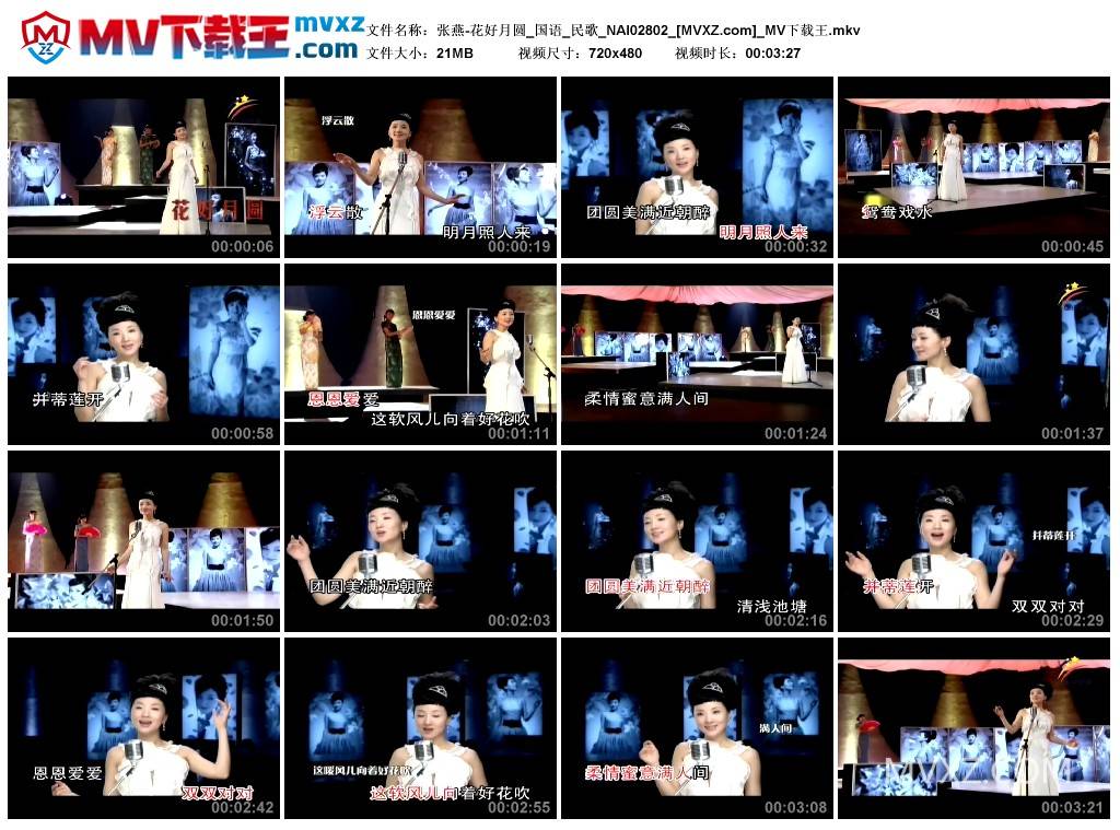 张燕-花好月圆_国语_民歌_NAI02802
